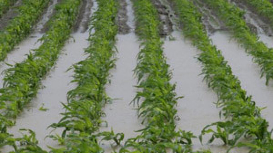 HDSSB traži više novca za pokrivanje šteta u poljoprivredi