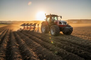 Steyrov div u kombinaciji s Cayron plugom