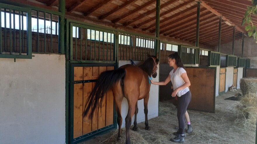 Vrijeme provedeno sa konjima iz Konjičkog kluba "Stina" višestruko se isplati