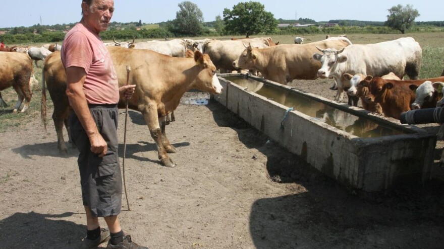 Velika tragedija kod Đakova: Otac Stipe i sin Goran Markić poginuli na polju