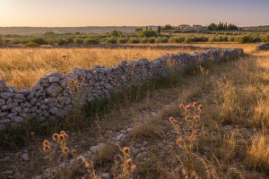 Stiže i porez na neobrađeno zemljište