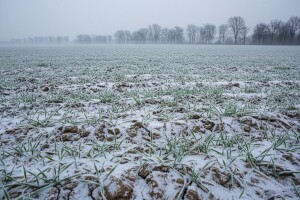Stiže sneg i hladnije vreme