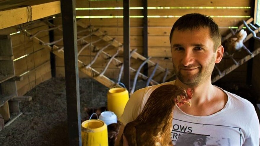 Koke im dnevno donose 200 jaja, a da bi bila što kvalitetnija sami spravljaju hranu