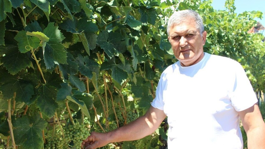 Vinari upozoravaju: Sporni su kriteriji za krovne udruge vinarskih regija!