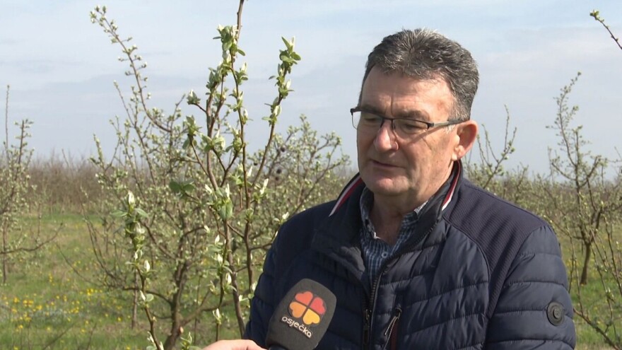 Ima li odgovora za sve raniju cvatnju voćaka i kasne mrazeve?