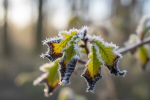 Što je raniji i nagliji, to su posljedice veće
