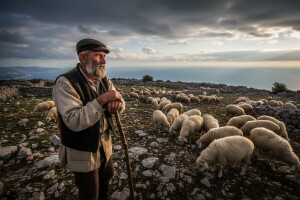 Što kriju torovi bračkih stočara?