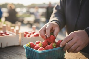 Što se sve prodavalo pod "vrgoračkom jagodom"?