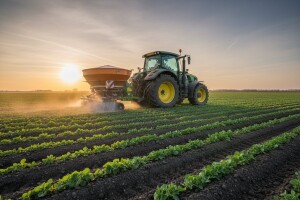 Što trebate znati o gnojidbi uljane repice?