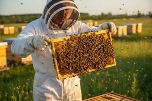 Što uradiš u augustu - vidjet ćeš u maju!