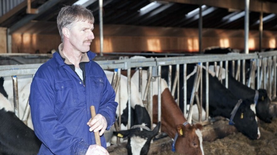 Zemljište stočarima bez javnog poziva