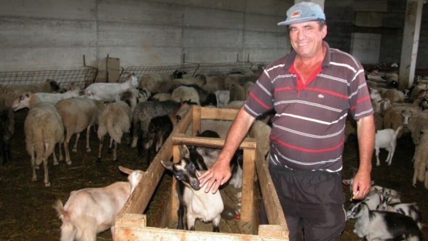 Od trgovca do mljekara, sirara i eko peradara!