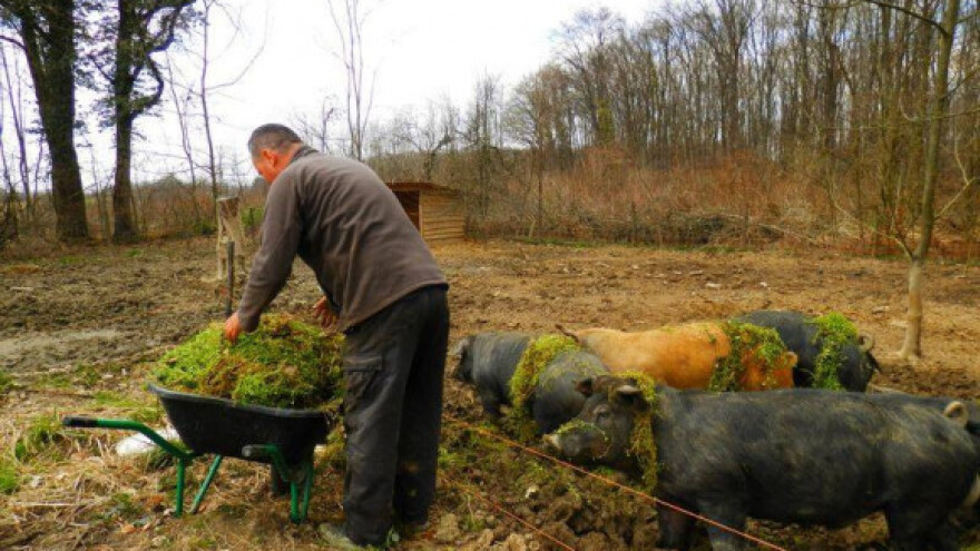 Sklapanje ugovora o zakupu zemlje bez javnog poziva