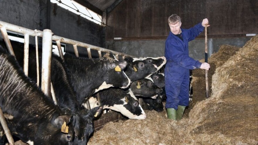 Tvrtkama u Hrvatskoj nedostaje 40.217 ha zemlje