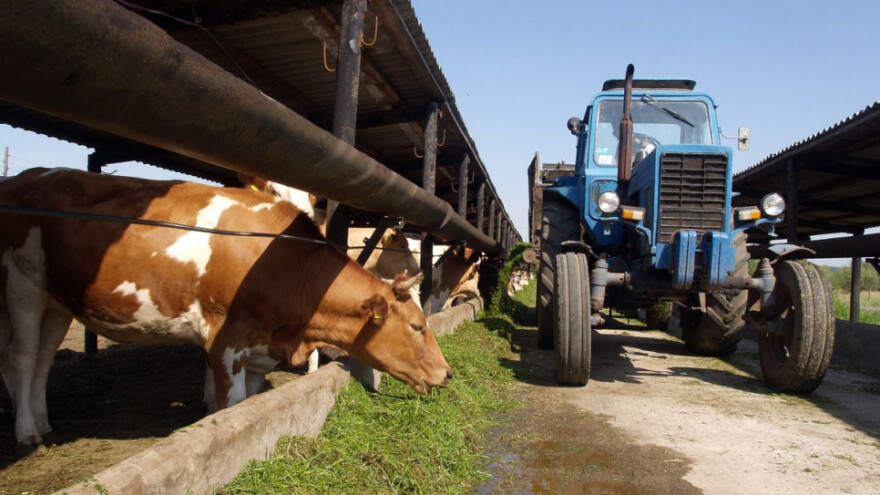Uvođenje reda u mliječni sektor do kraja godine?