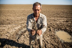 Stočari neće imati čime prehraniti stoku
