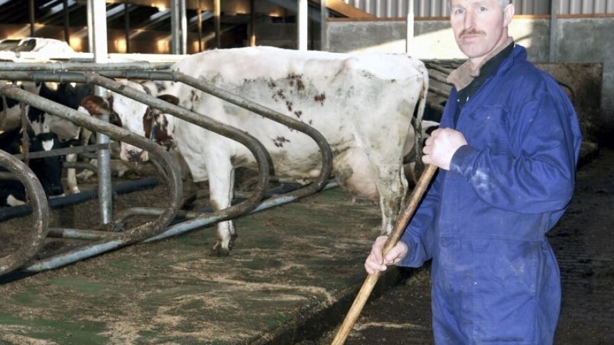 Nadoknaditi štetu govedarima i svinjogojcima?