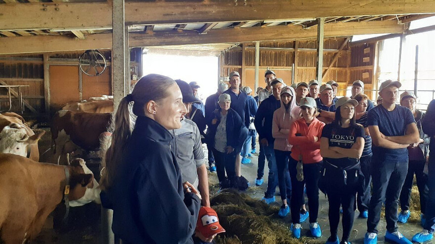 Austrijski stočari imaju samo 20 mliječnih krava u prosjeku, a žive bolje od hrvatskih