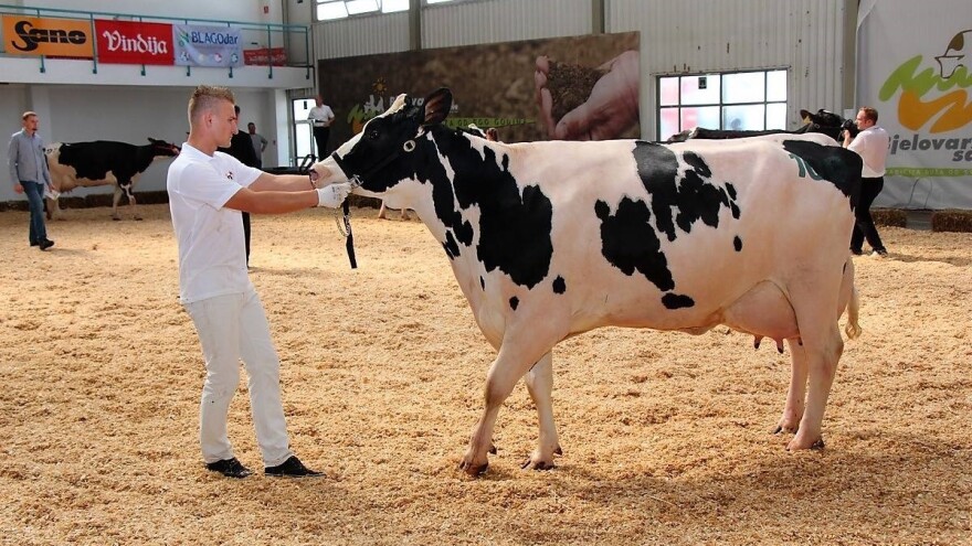 Na stočarskoj izložbi sve veći broj mladih uzgajivača!