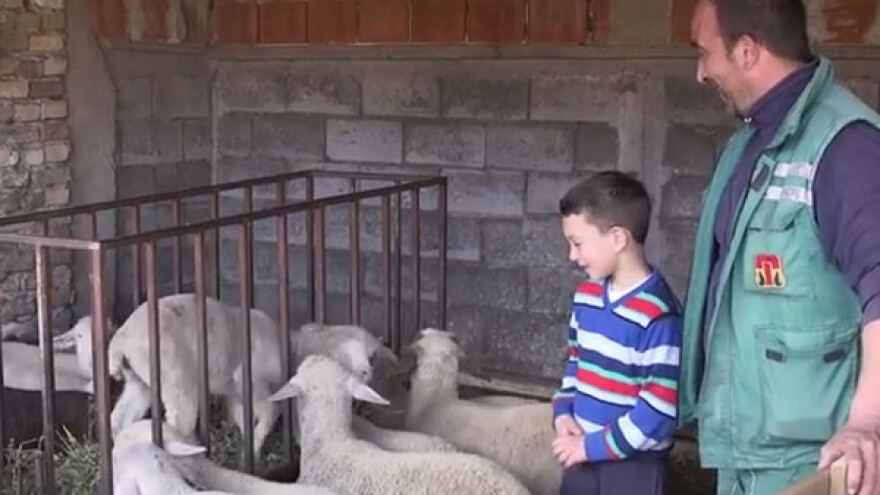 Dug put od cigaje do virtemberga