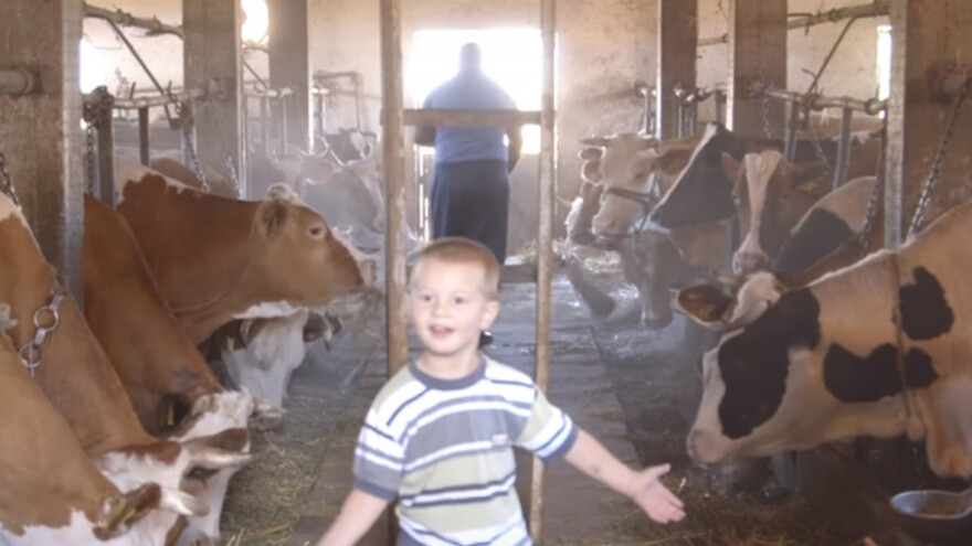 Stočarstvo u Žitištu