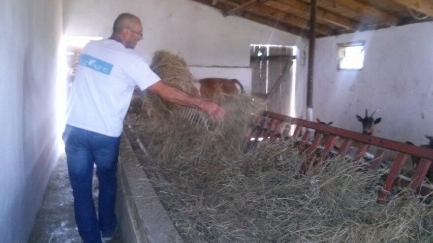 Novi pravilnik za proizvođače mlijeka