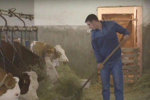 Milaković: Cena mleka nije pravedna