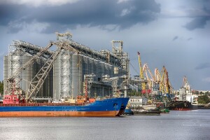 Izvozni potencijal ukrajinskog kukuruza najveći do sada