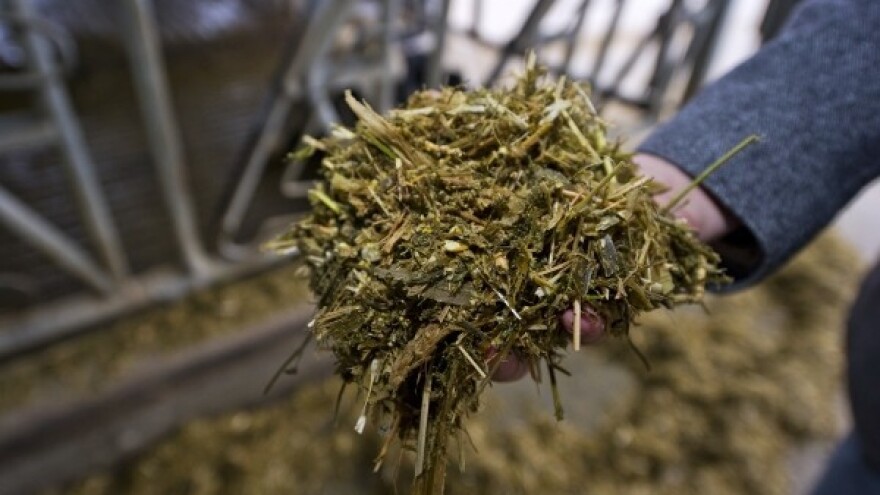 Propadaju donacije za Gunju - nema ih tko prevesti!