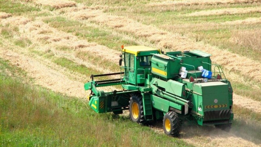 Raste udio soje i ječma u stočnoj hrani!