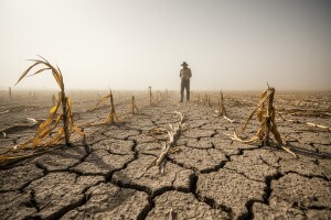 Stogodišnjica akumulacije ugljen-dioksida