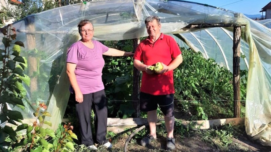 Proizvodnjom povrća mesečno ostvaruje sebi pristojnu i sigurnu zaradu