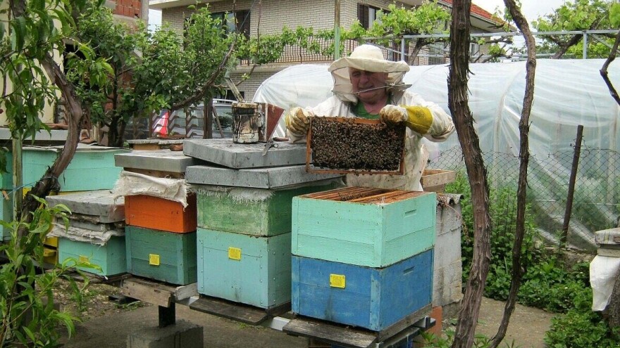 Ima 61 godinu staža u pčelarstvu, a znanje prenosi zetovima, unucima i prijaku