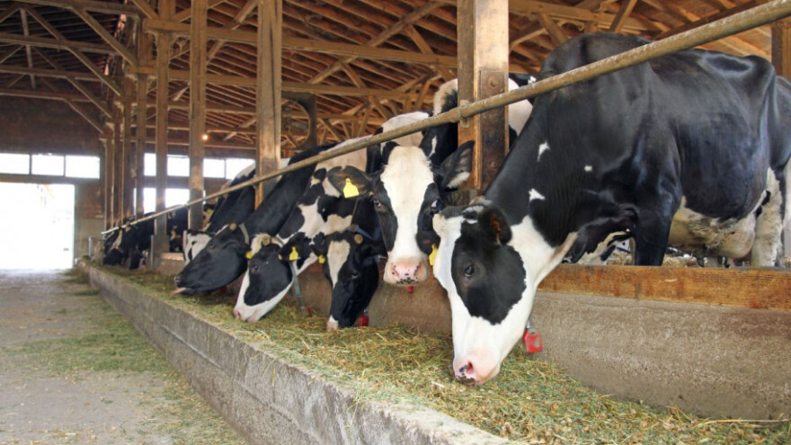 Otpad s farmi vrijedan milione bacamo jer nemamo preradu?