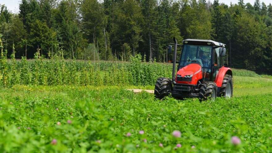 Jeftinija ishrana stoke: Tri do četiri vrste trava i jedna detelina, idealna TDS kombinacija