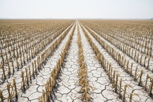 Stoljeće akumulacije ugljičnog dioksida