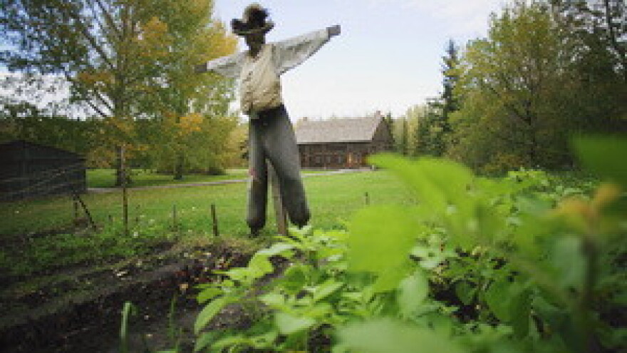 EU će postrožiti pravila eko proizvodnje