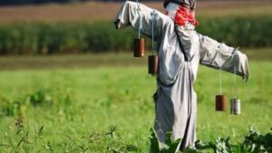 Hoćemo li uspjeti zadržati milijune na selu?