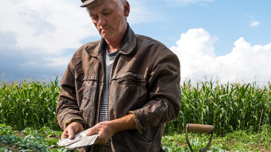 Poljoprivrednici u BiH riskiraju gubitak glavnih fondova EU