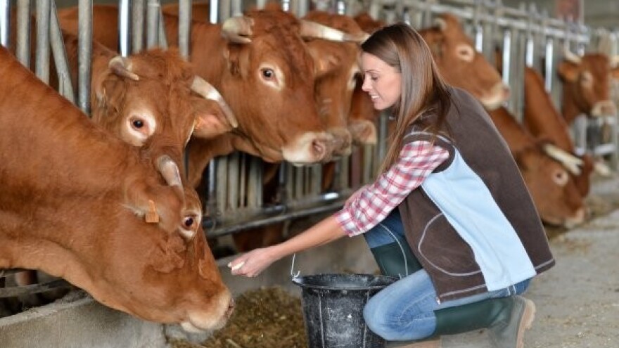 Kako do veće konkurentnosti u mljekarstvu?