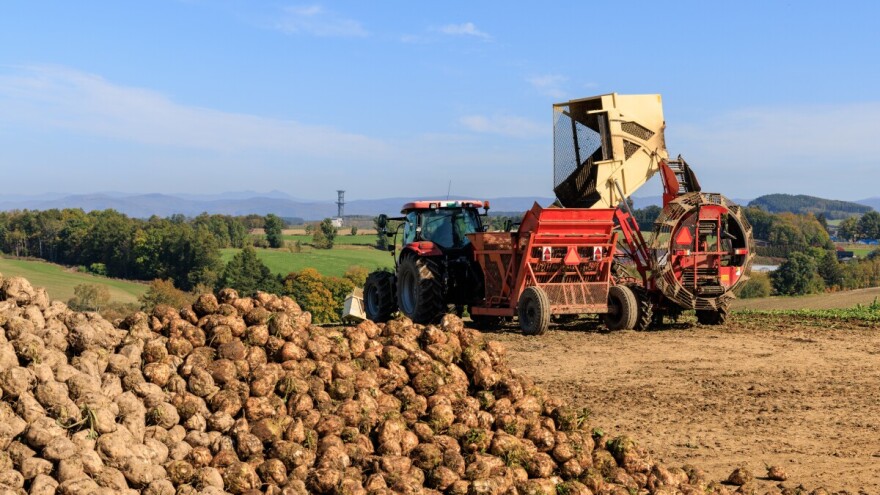 15 milijuna eura za šećernu repu, duhan i maslinovo ulje - osjetljive sektore