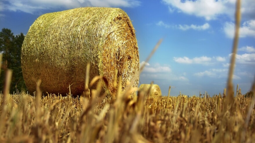 Kraj sedmice donosi nam lokalne pljuskove, ali i temperature do 35°C