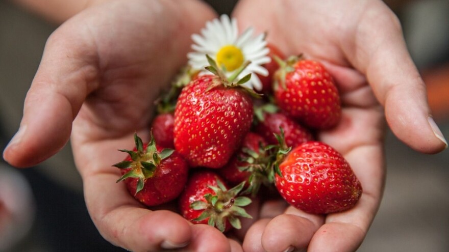 Ekološko ili "ekološko"? Proizvodi sa 220 farmi pali na kontroli