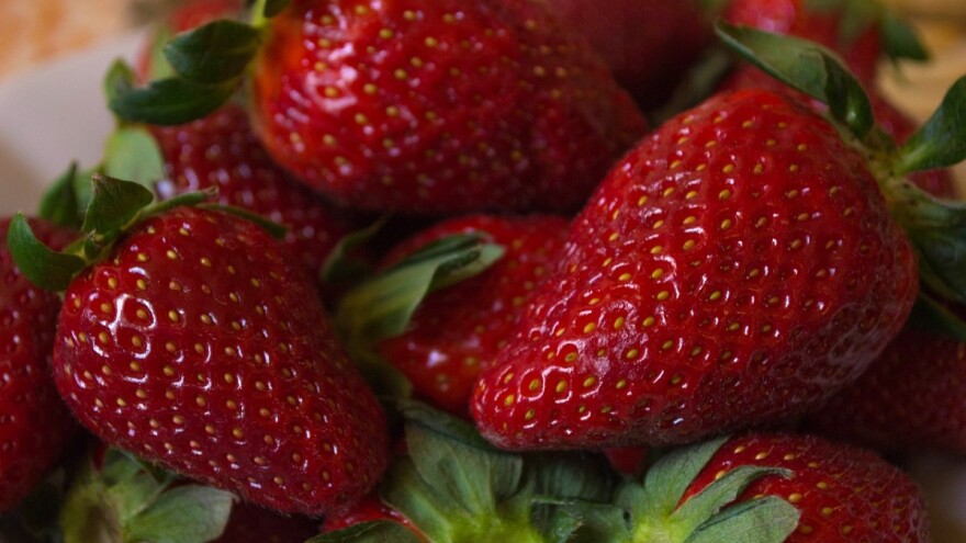 Siguran otkup: Britanci će u Kalesiji investirati u jagode?