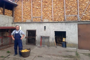 Srednji i kasni hibridi dali najbolje prinose, ali u ambaru čekaju bolje dane