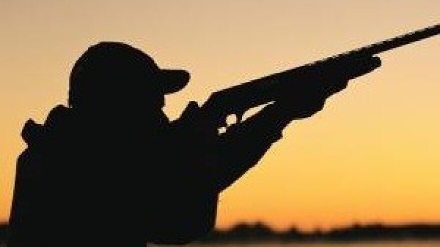 Horoskop - Strijelac (23.11. - 21.12.)