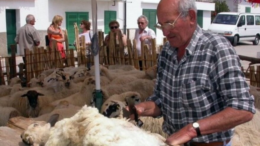 Umjesto pahaja vuneni brend - suvenir Brača!