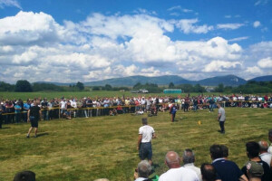 Ručnom kosom pokosili Kupreško polje