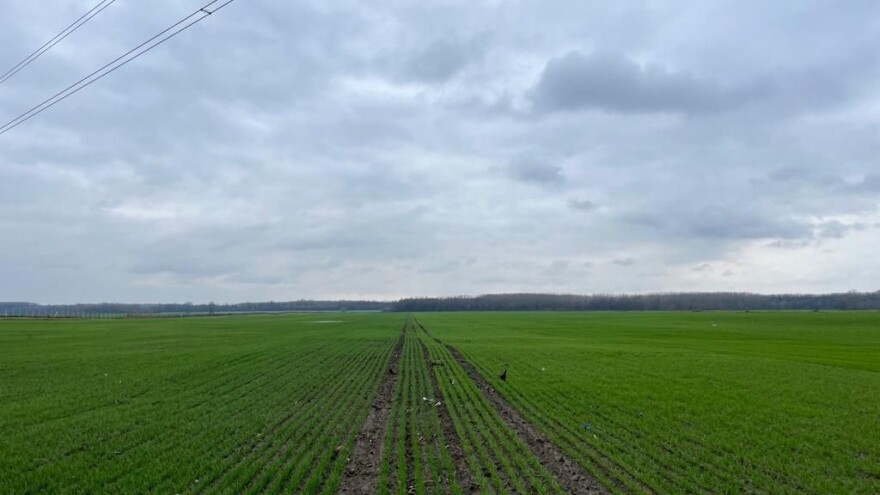 Padavine bi mogle "ugušiti" usjeve - napravite prokope