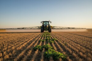 Strništa bez korova